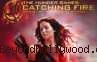 The Hunger Games:Catching Fire, Ketika Keberhasilan Menyulut Api Permusuhan