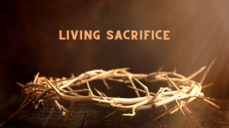 15 Ayat Alkitab yang Ungkapkan Tentang Makna Pengorbanan, Yuk Renungkan!