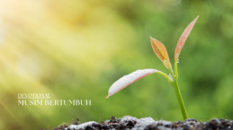 Musim Bertumbuh