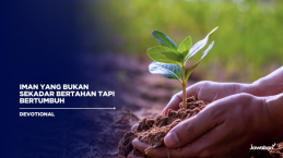 Iman yang Bukan Sekadar Bertahan Tapi Bertumbuh