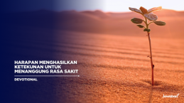 Harapan Menghasilkan Ketekunan untuk Menanggung Rasa Sakit