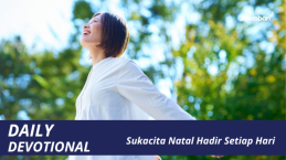 Sukacita Natal Hadir Setiap Hari