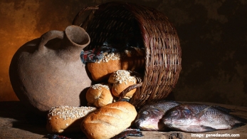 Roti Yang Turun di Padang Gurun