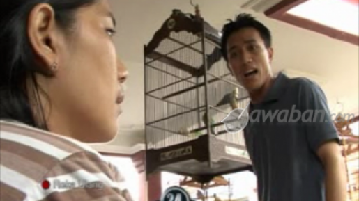 Cintaku Pada Burung Melebihi Cintaku Pada Istri