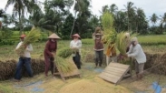 3 Dampak Tuaian Dalam Kehidupan