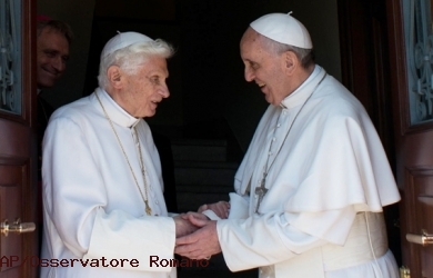 Pertama Kali Didunia, Dua Paus Tinggal Bertetangga