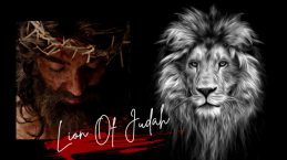 Penggenapan Nubuatan Atas Singa Dari Yehuda