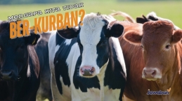 Kurban Hewan Tertulis di Alkitab, Mengapa Orang Kristen Tidak Melakukannya?