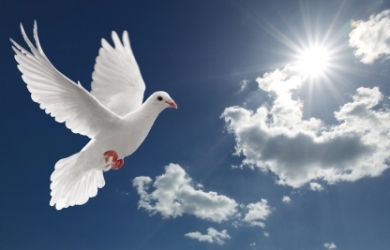 Pengharapan dalam Roh Kudus