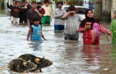 Mengenal Leptospirosis, Penyakit di Musim Banjir