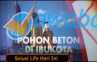 Hutan Beton vs Ruang Terbuka Hijau