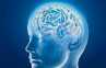 Survei: Membaca Tingkatkan Kemampuan Otak